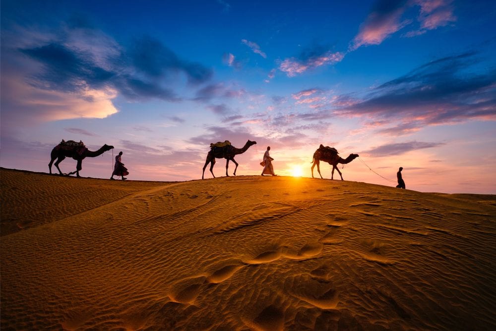 From Palaces to Deserts: Rajasthan's Most Enchanting Road Trip Itineraries