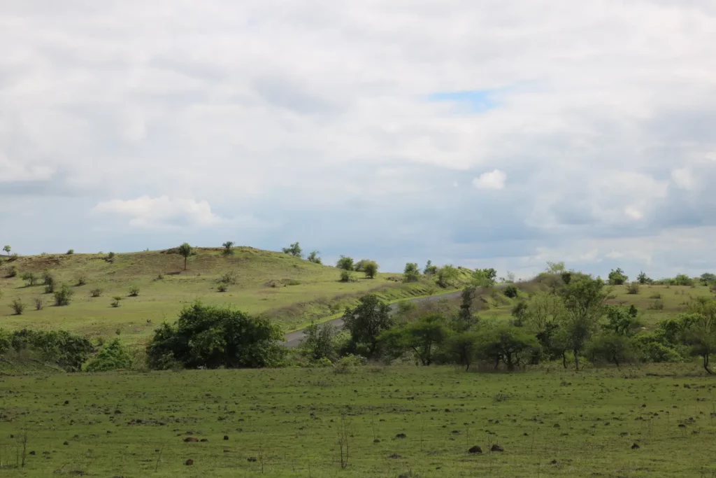 Road Trip to Ananthagiri Hills