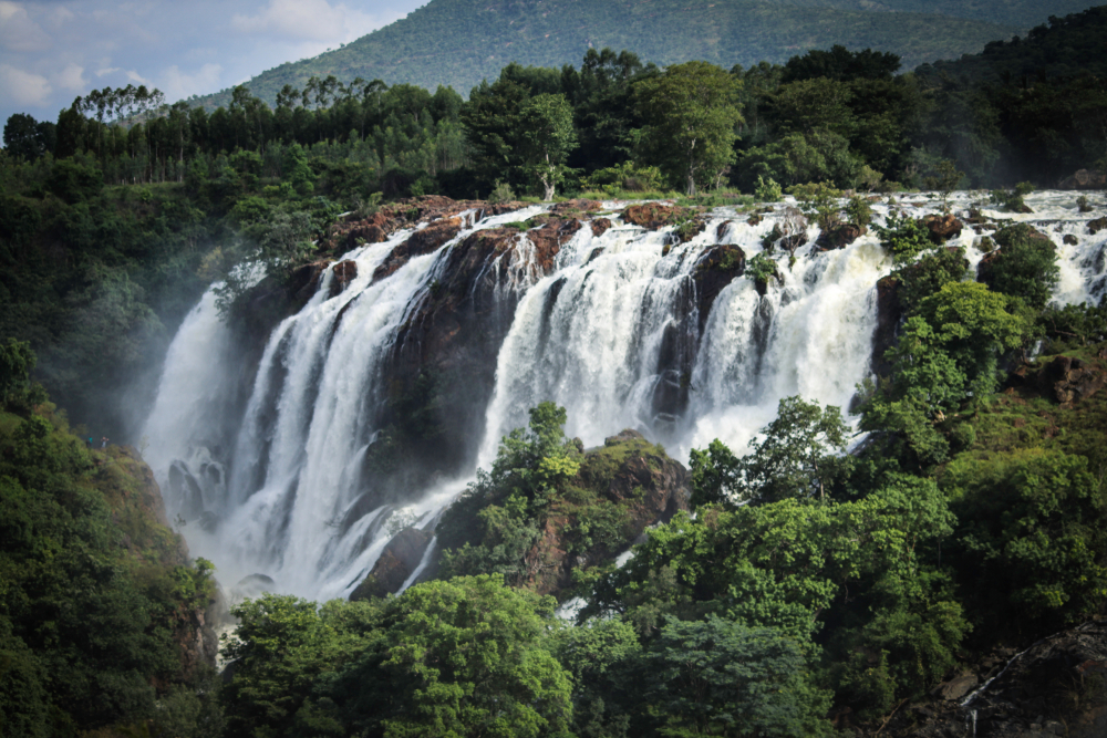 Shivanasamudra Falls