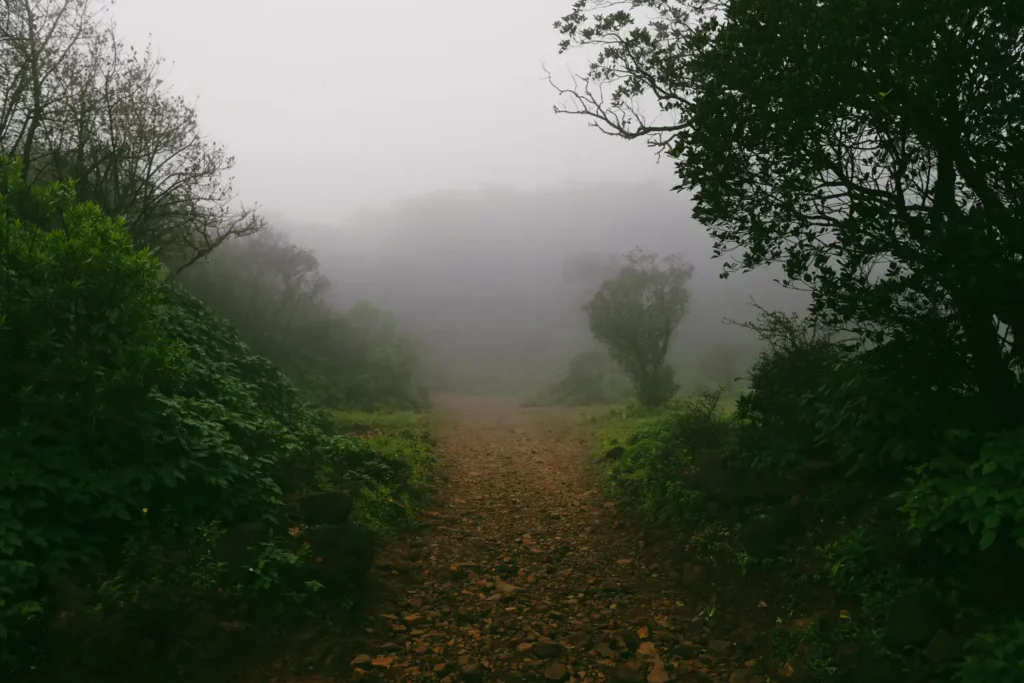 trekking in bhimashankar