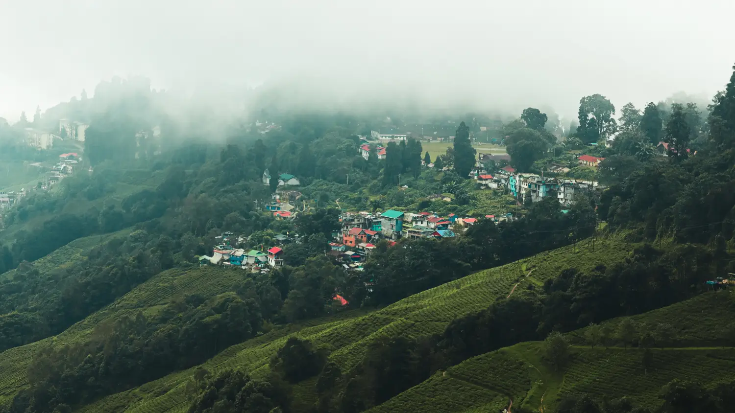 Darjeeling mountainside view