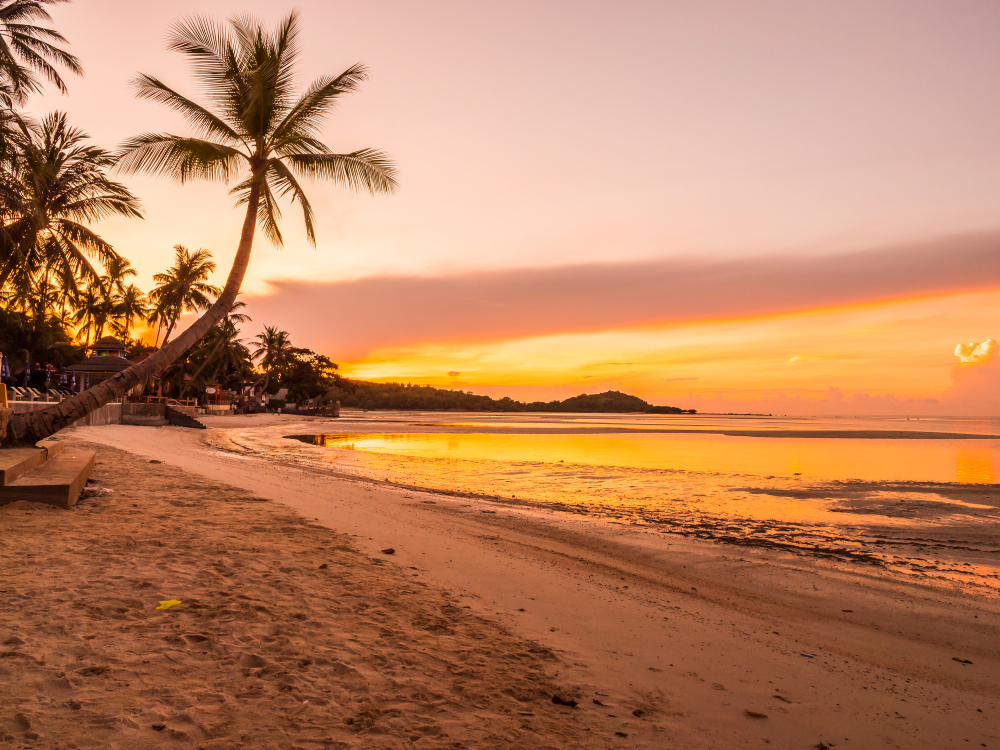 Goa Beach