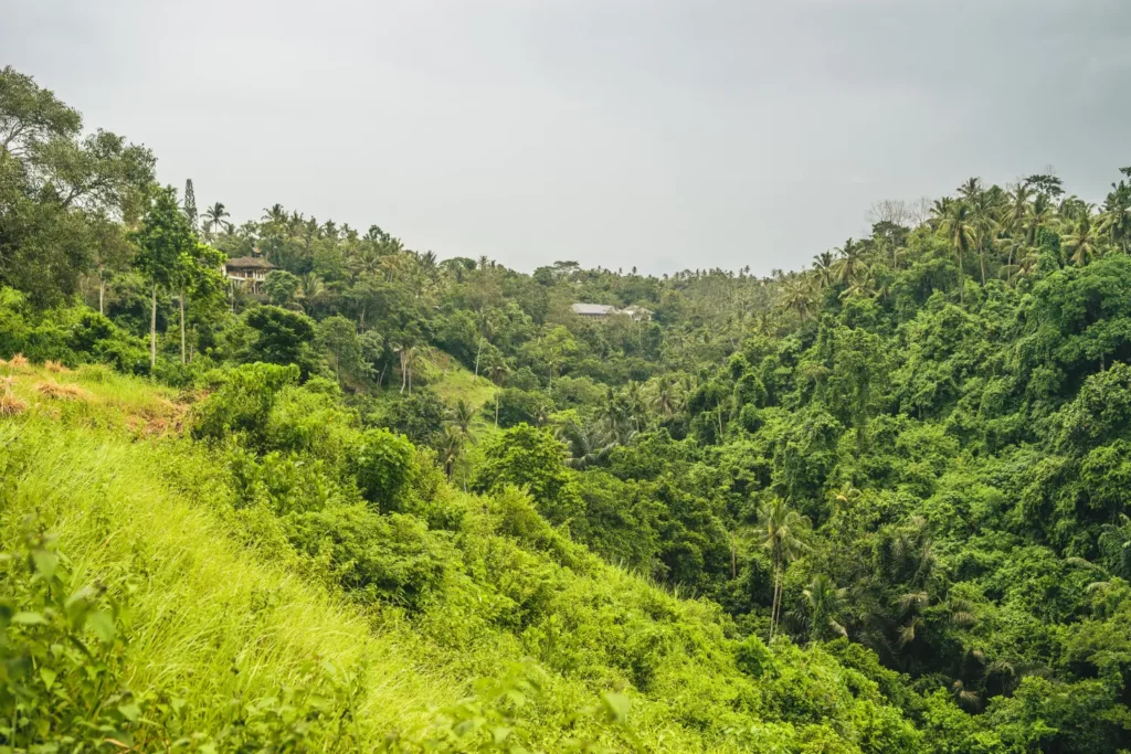 places near bhandardara