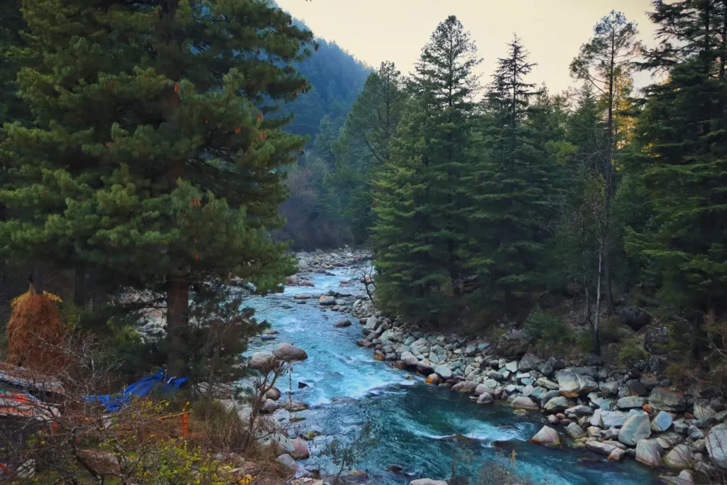 Kasol of parvati valley and river with with forest