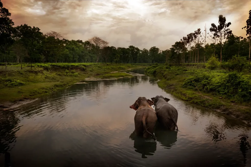 Scenic view near Manas National Park