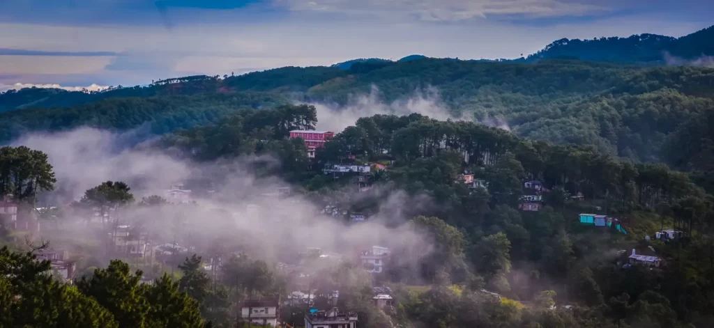 Shillong vibrant forest