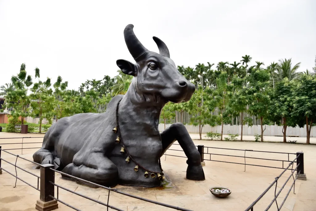 The huge statue of Nandi in Isha yoga