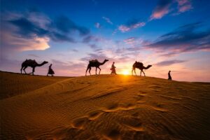 Road trip to Rajasthan