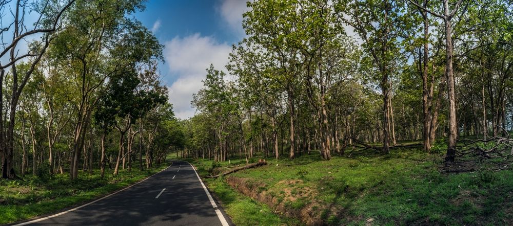 Bangalore to Ooty road trip in spring