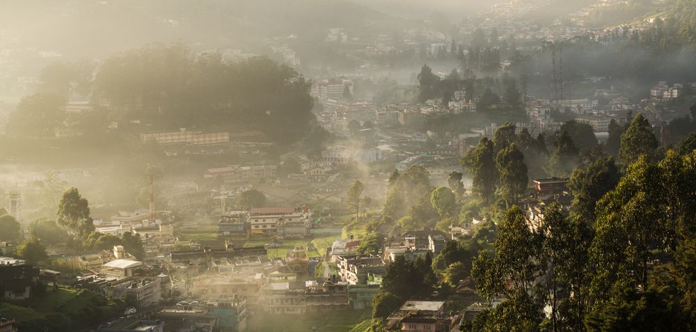 Misty morning in Ooty