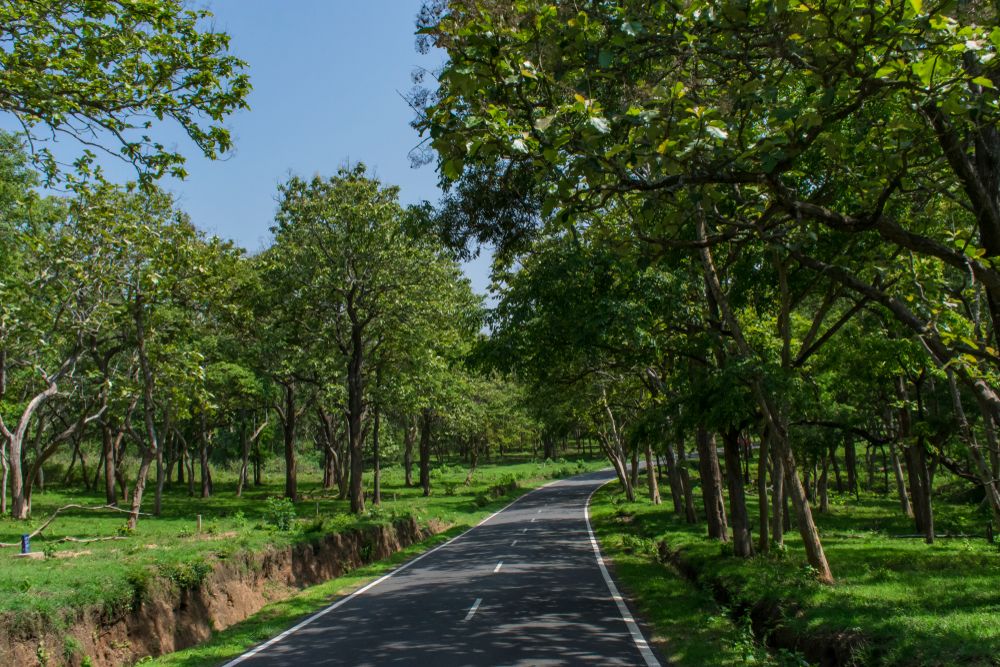 Self-drive car rental services in Bangalore