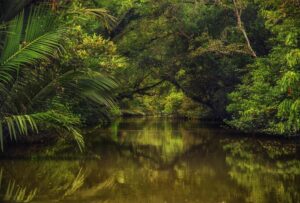 Trip to sunderbans